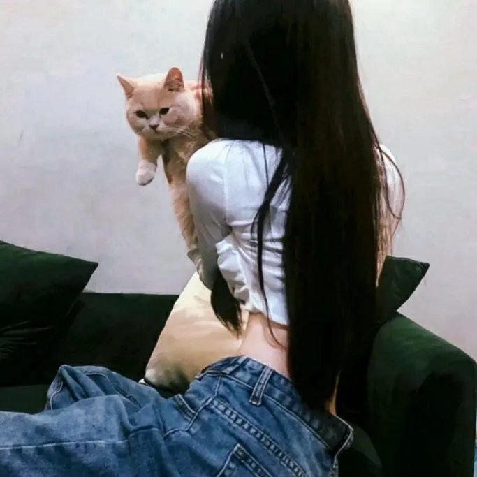 良陈美锦